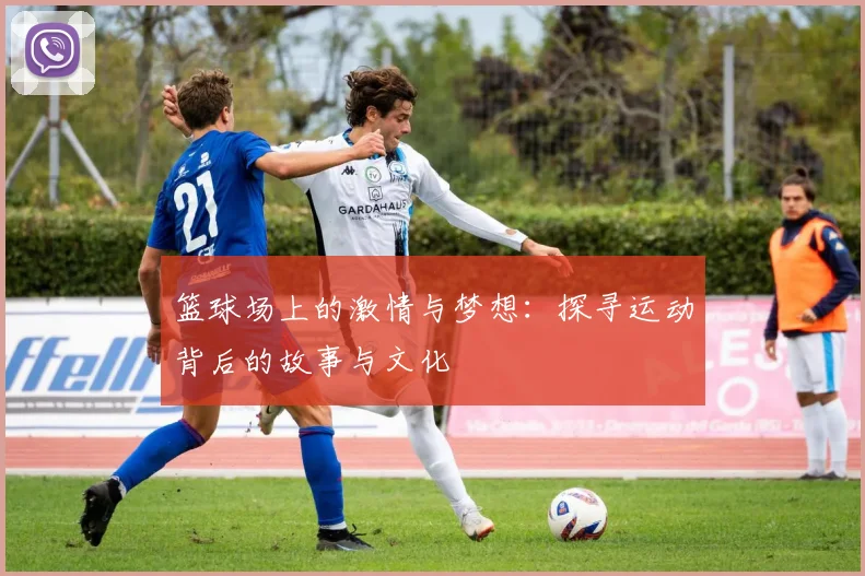 篮球场上的激情与梦想：探寻运动背后的故事与文化