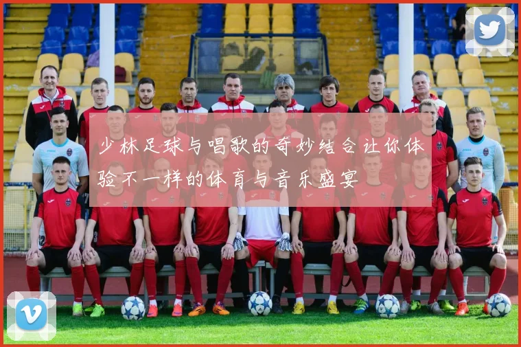 少林足球与唱歌的奇妙结合让你体验不一样的体育与音乐盛宴